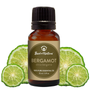 Bottle of Bergamot essential oil with lime slices on a white background