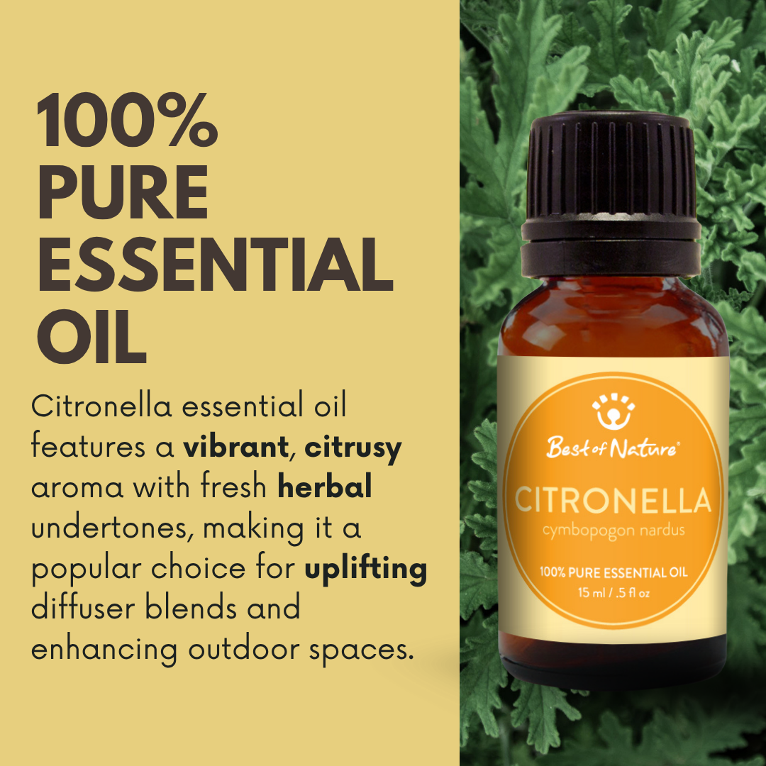 Citronella essential oil features a vibrant, citrusy aroma with fresh herbal undertones, making it a popular choice for uplifting diffuser and blends and enhancing outdoor spaces.