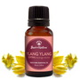 Ylang ylang essential oil bottle with flowers on a white background