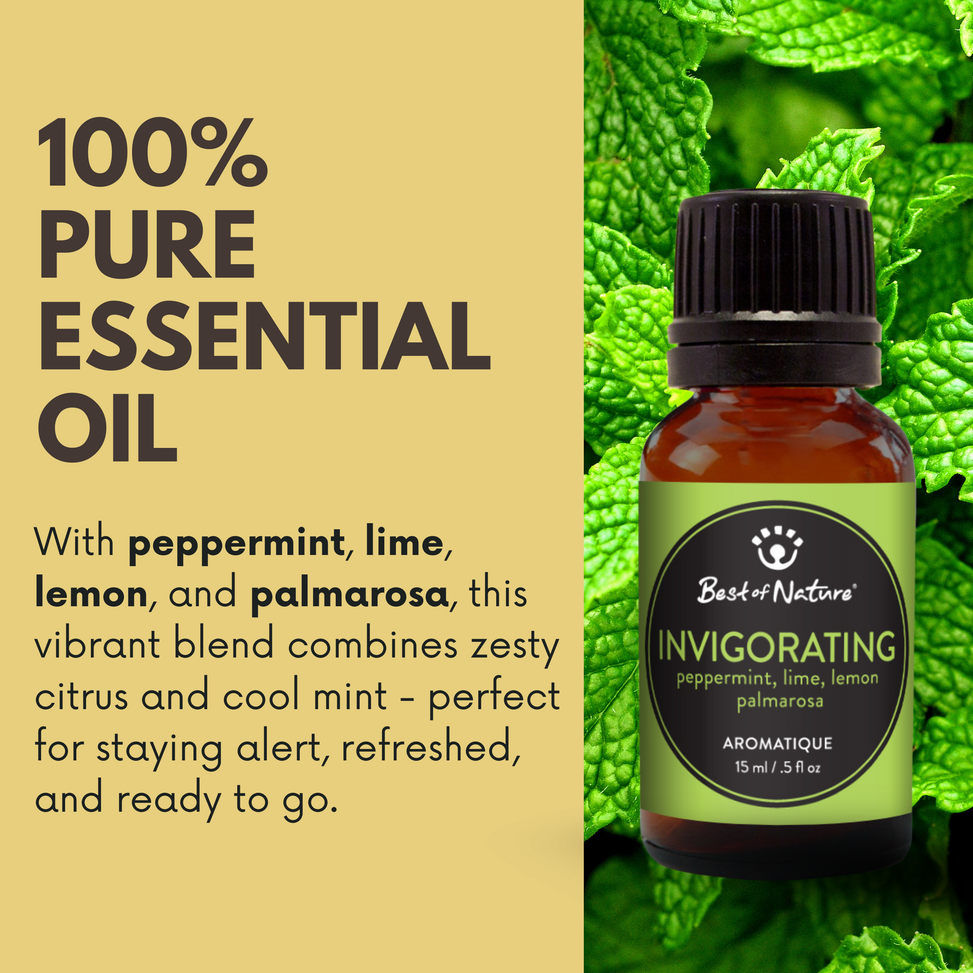 Invigorating Aromatique - Essential Oil Blend