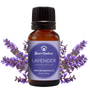 Bottle of lavender essential oil with a label on a white background