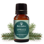 Bottle of spruce essential oil with a green label and spruce branches on a white background