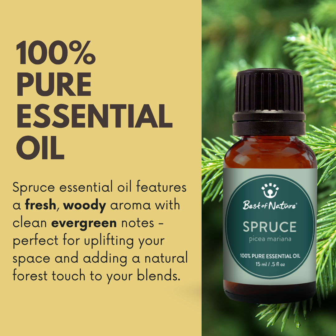 Spruce essential oil features fresh, woody aroma with clean evergreen notes.