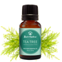 Tea tree essential oil bottle with green leaves on a white background