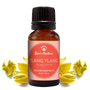 Ylang ylang essential oil bottle with flowers on a white background