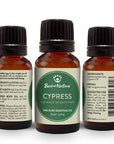 Cypress Essential Oil - Spa & Bodywork Market