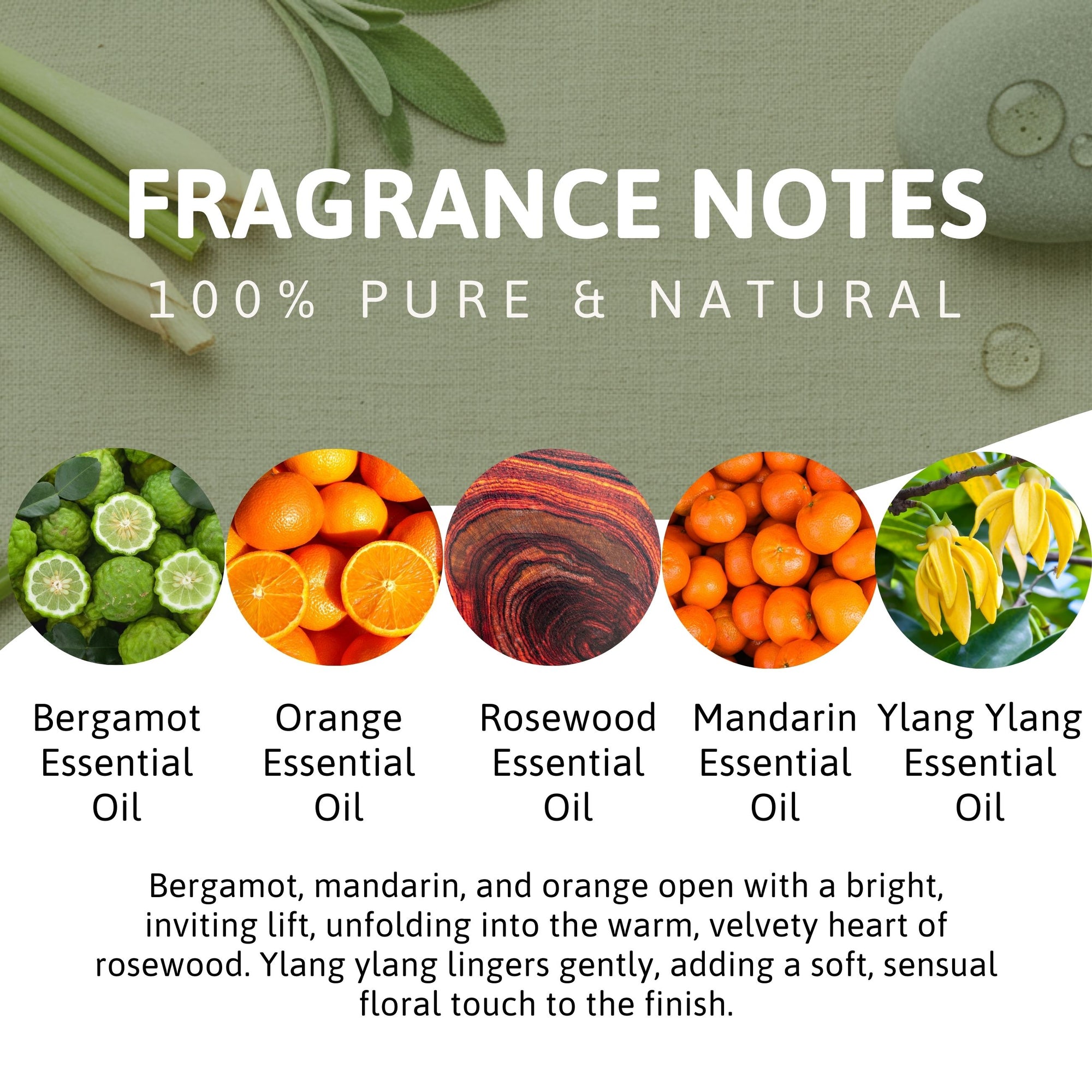 Ylang Ylang Citrus Aromatherapy Massage &amp; Body Oil