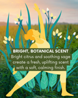 Lemongrass and Sage Aromatherapy Massage & Body Oil