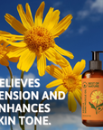 Therapeutic Arnica Sore Muscle Massage & Body Oil