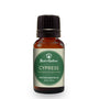 Cypress Essential Oil - 100% Pure